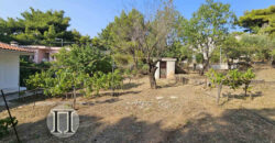 Μονοκατοικία 142 τ.μ. σε 1200 τ.μ. οικόπεδο (Παλαιά Πεντέλη)